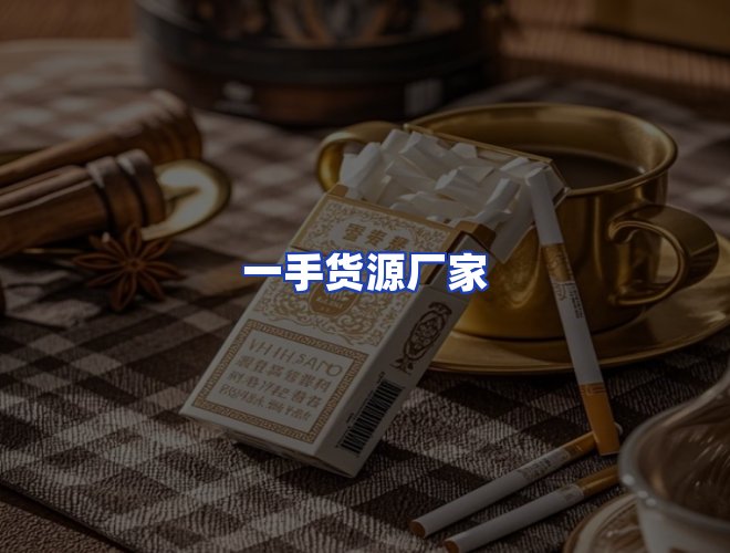 专业团队